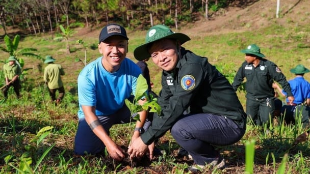 Protecting forests and building a green future: From severe forest loss to a global reference